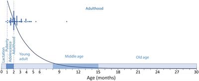 A coming-of-age story: adult neurogenesis or adolescent neurogenesis in rodents?